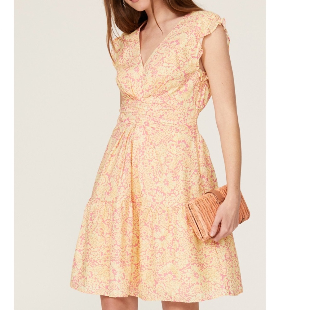 Derek Lam 10 Crosby x RTR Paisley Floral Flare Dress Sz IT 42/4